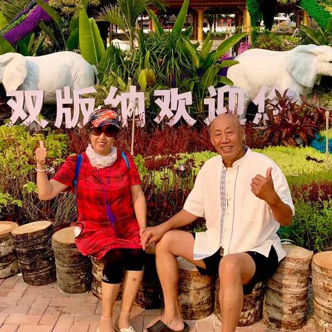 再见了！美丽的西双版纳👋                再见了！神奇的七彩云南👋