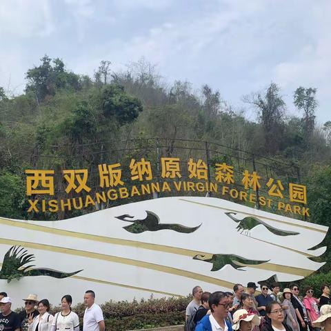 西双版纳原始森林游记