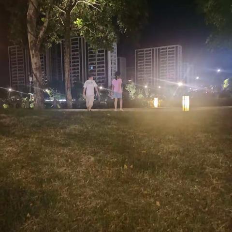 红领巾致敬先锋——争做劳动小能手