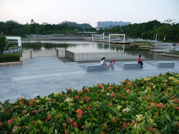 游深圳市坪山区中心公园2019.6.15