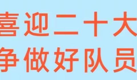 喜迎二十大•争做好队员——平城区四十五校全体少先队员观看建队日主题云队课活动