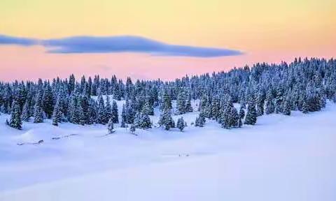 松桂隆冬始见青，少年岁寒展宏图——鸿文初16班看新闻纪实