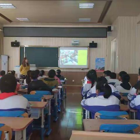 小学综合实践新教师活动