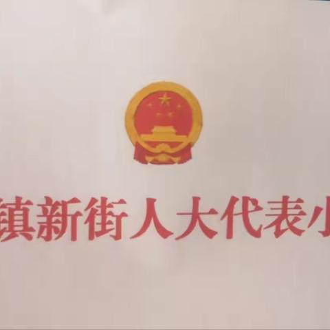 横车镇新街人大代表小组第一季度“代表行动”