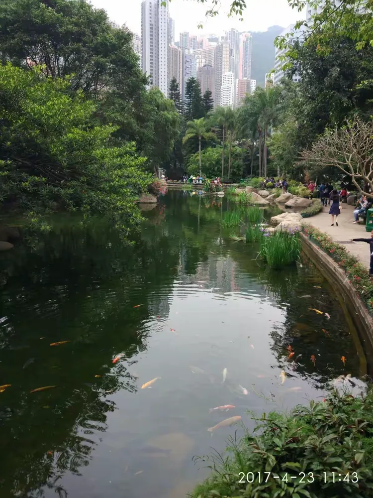 香港公园(香港印象20)