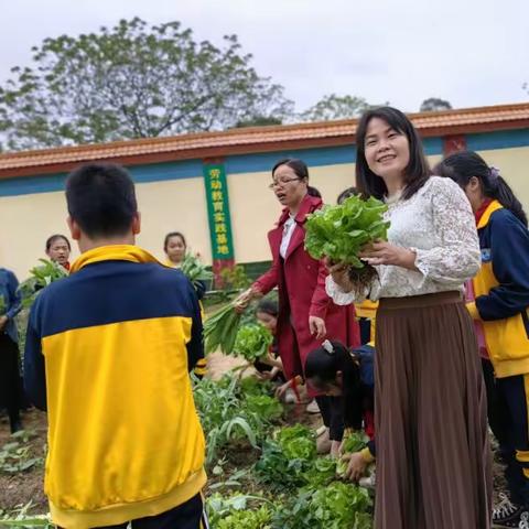 劳动美丰收乐一一劳动实践与学科融合