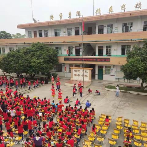 文山小学适龄儿童入学情况摸底公告