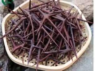 皂角刺的功效与作用