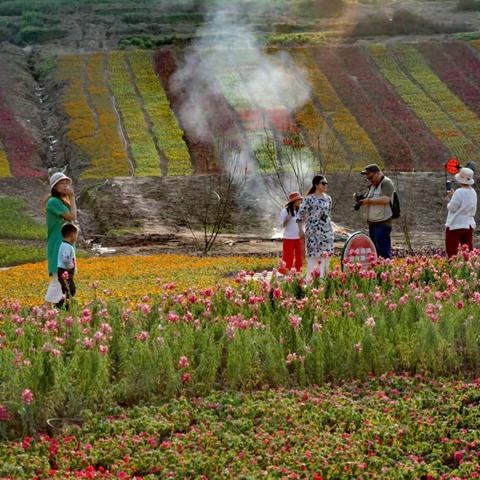 幸福像花儿一样