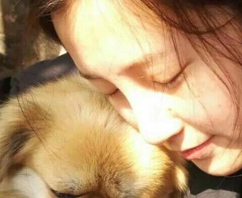 家有福狗    狗福有家