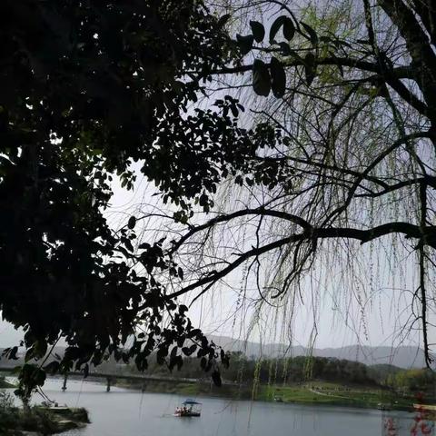 无忧无虑的日子