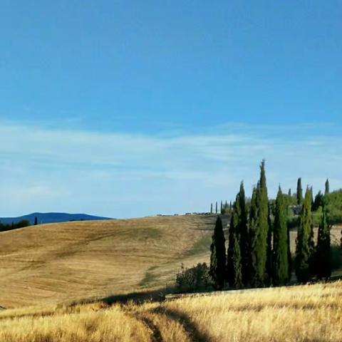 致我所至，至我所致