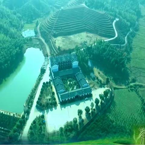 浙江省2022年发展壮大村集体经济黄茶标准化生产高级研修班