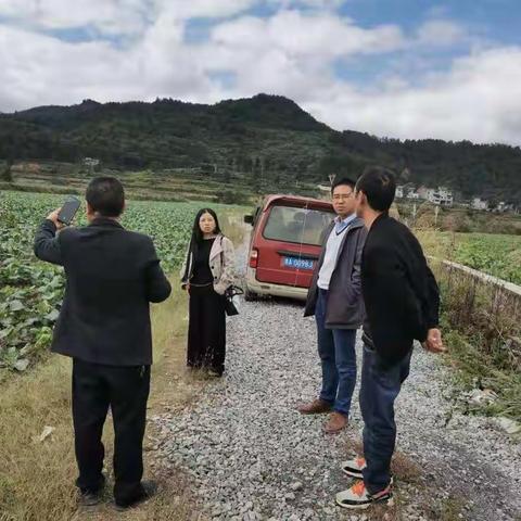 蜂岩镇开展对四个坝区有机论证