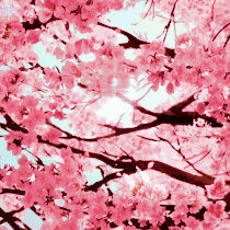 合悦私塾美术班