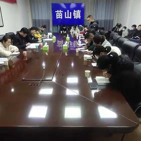 “后浪”奔涌，乡村振兴未来可期 ——苗山镇召开乡村振兴工作专员座谈会