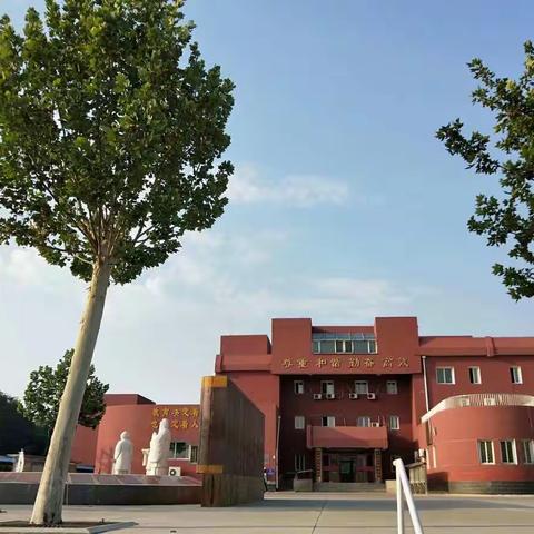 放飞科学梦想，创新伴我成长——张镇中学成功举办首届科技节