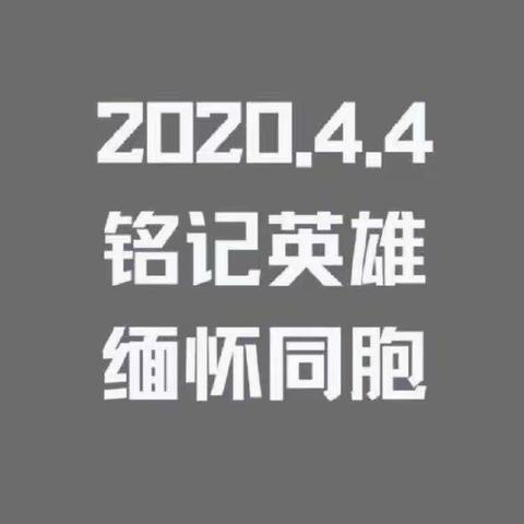 中共瑞丽市勐卯小学党总支第一支部“致敬•2020清明祭英烈”网上祭扫活动简讯