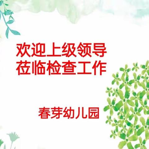 年检促成长，规范助发展~春芽幼儿园督导检查篇