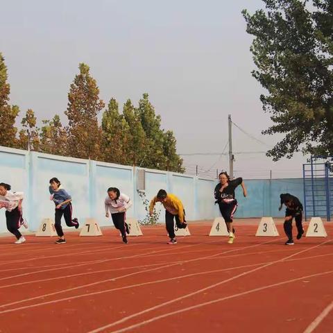 稻庄镇实验中学举行2019年秋季运动会