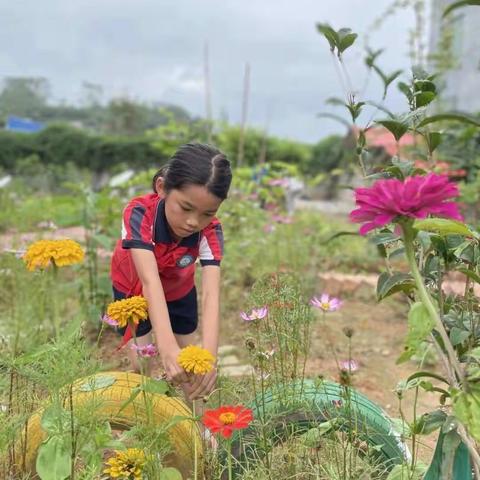 县底镇中心学校：植物拓染课堂，让童思更有“艺思”