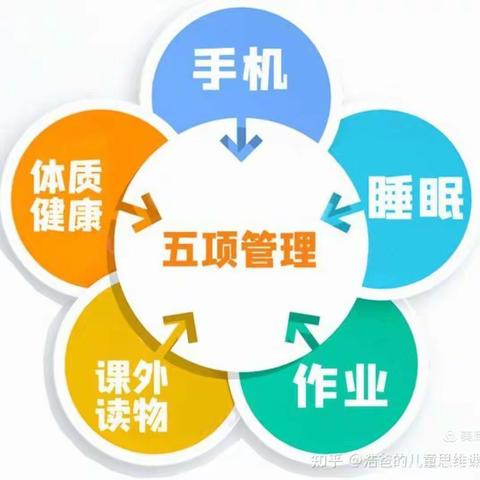 五项管理落实处，呵护学生促成长——石道河镇中学学期初“五项管理”工作纪实