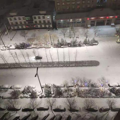 邂逅初雪，童心飞扬!