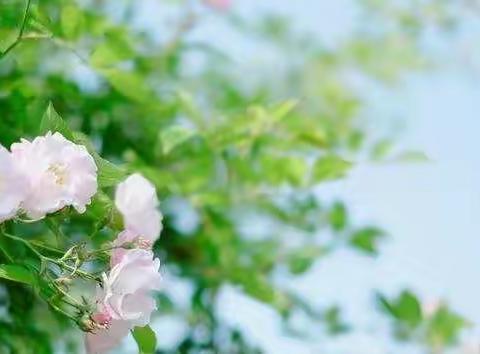 夏日悠悠，扶贫路上意绵绵