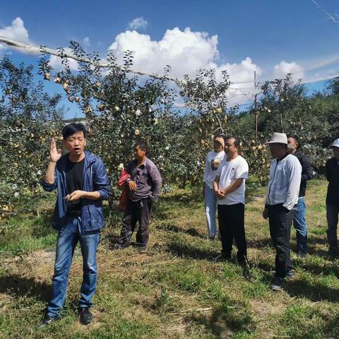 秋季果园培训助力苹果产业提质增效