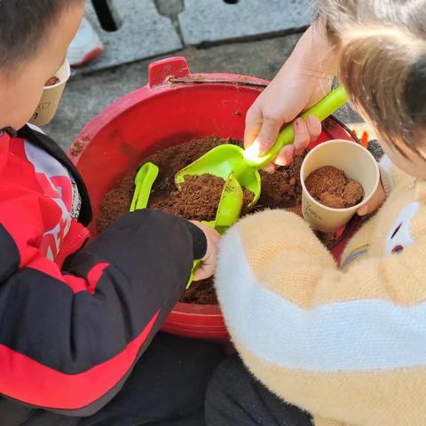 鲤鱼塘镇中心幼儿园—植树节活动分享