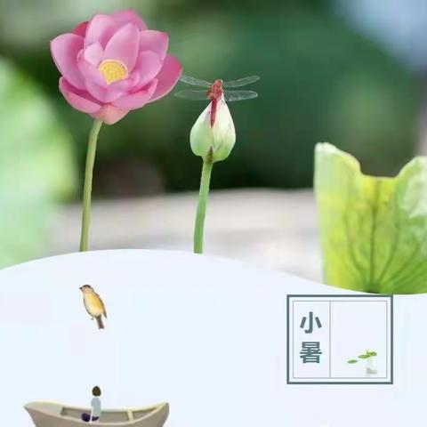 🍉小暑•“暑”你最棒🌺🌺🌺师范附属幼儿园——小暑活动🍉