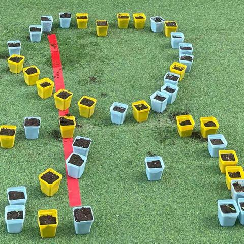 劳动勤于手 美德践于行