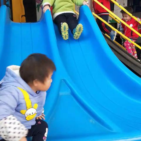 清华幼儿园小班第16周：大家一起做早操
