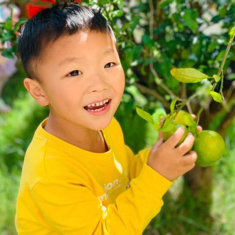 胖橘🍊:小朋友们，请注意，你要“贴秋膘”了！——如皋经济技术开发区第三实验幼儿园