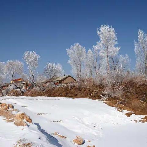 冬雪·雾凇