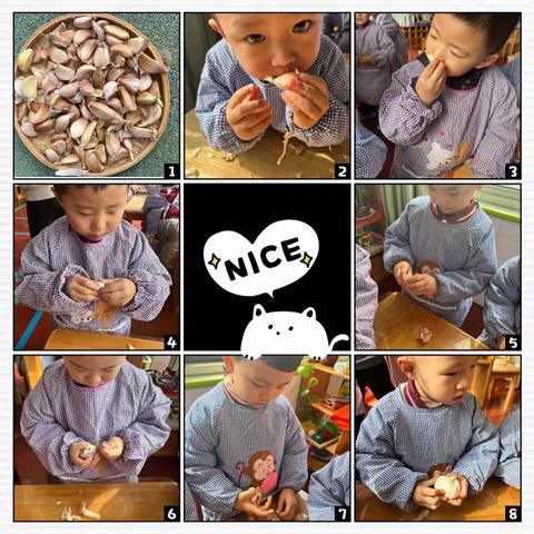 小四班种植课程之           ﻿《“蒜”你可爱，“蒜”出精彩》