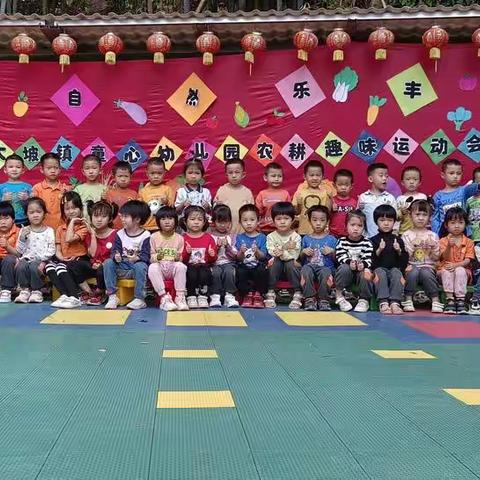 童心幼儿园大B班十一月份总结