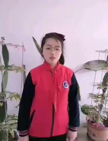 “心中有爱，感恩更美”西王庄小学妇女节系列活动