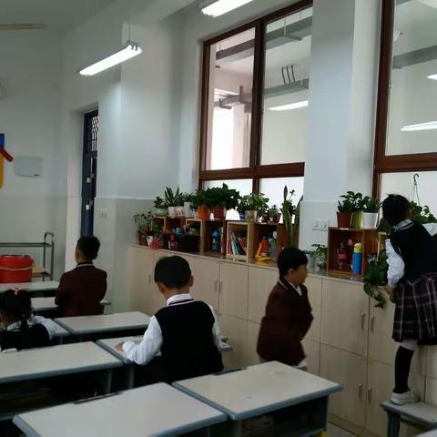 生活即教育——东市街小学“影子”学习随想