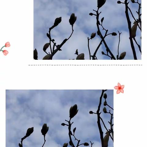 春己到，愿“疫情”早日过去
