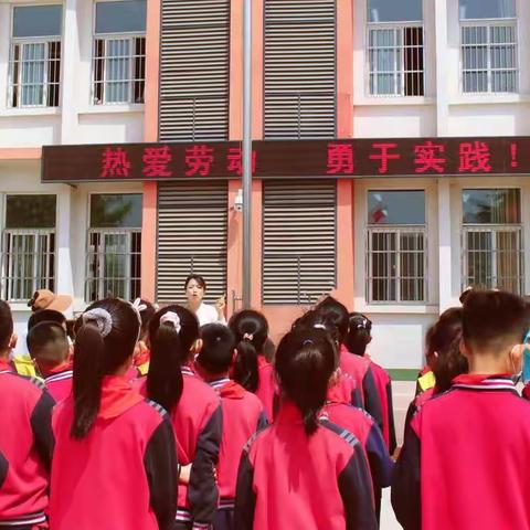 基层教育动态：劳动促成长 实践出真知—双酒小学开展劳动实践活动课