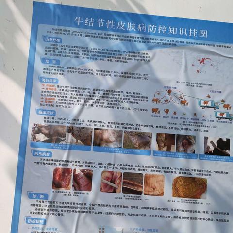 青哥的美篇