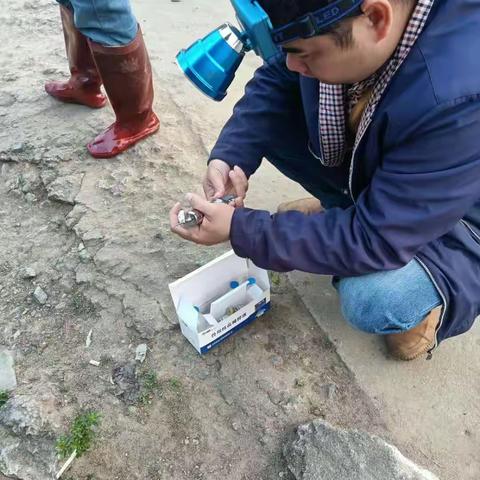 青哥的美篇