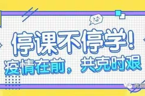 青铜峡市中学数学教研室  陈加华 -------   "停课不停学    我们在行动"              (第一期)