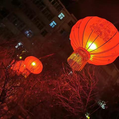 欢欢喜喜过大年🐮文明祝福讲在前🙏