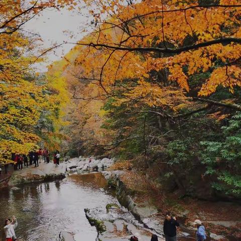 川北光雾山景区红叶观赏记