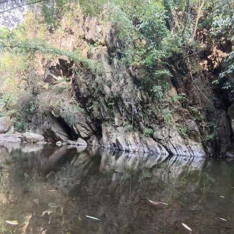 踏春游，感春趣，守初心，净环境——者竜中心学校联合党支部三月主题党日活动