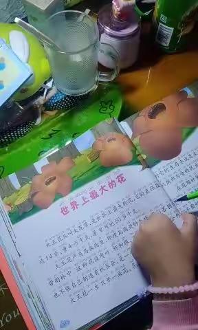 闫怡静家庭作业
