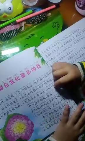 闫怡静家庭作业