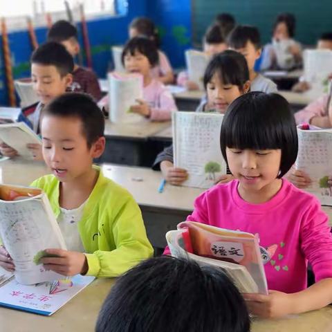 小屯小学行为规范展示 规范行为，铸就品质，呵护成长。